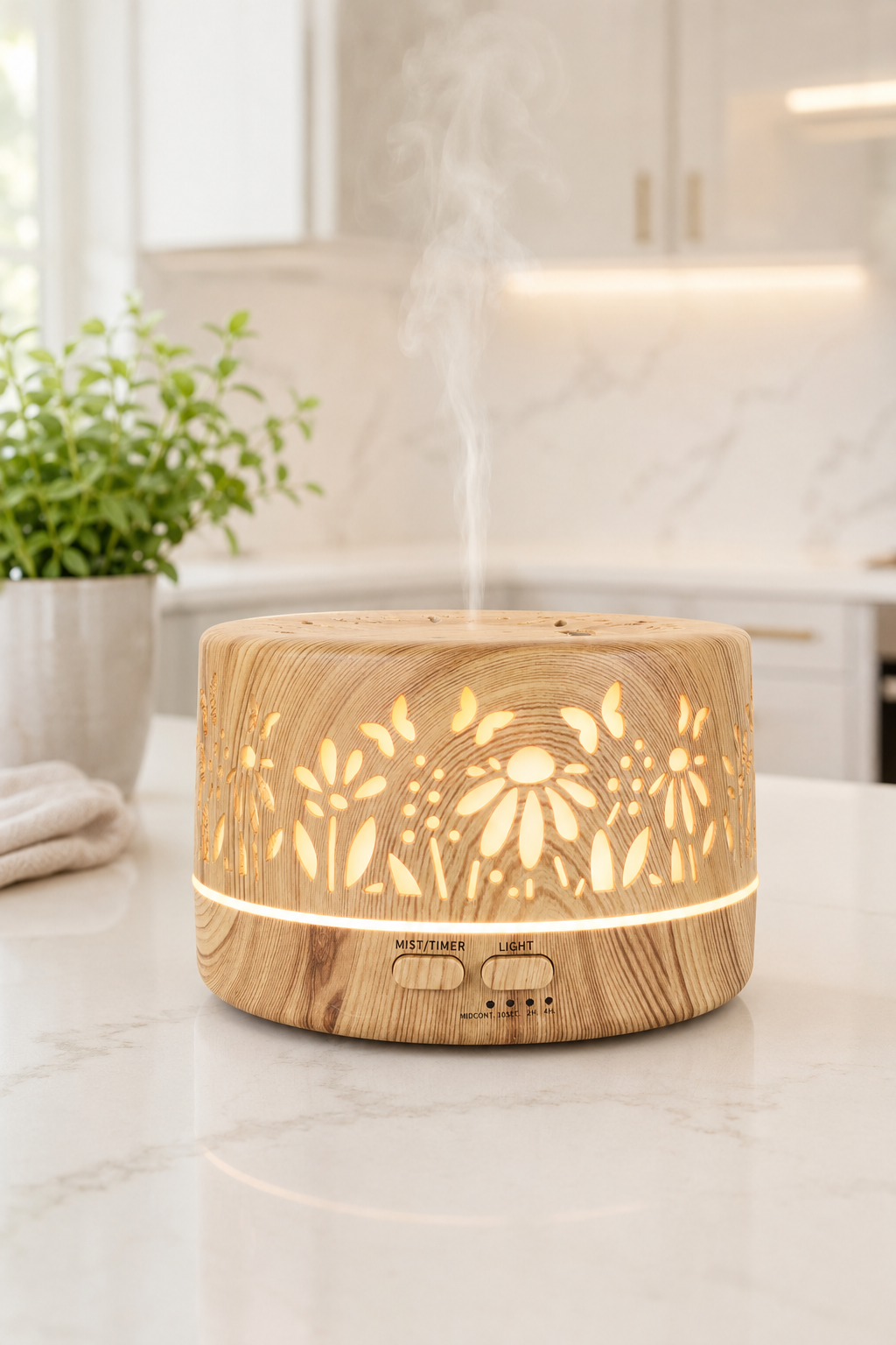 Home Diffuser
